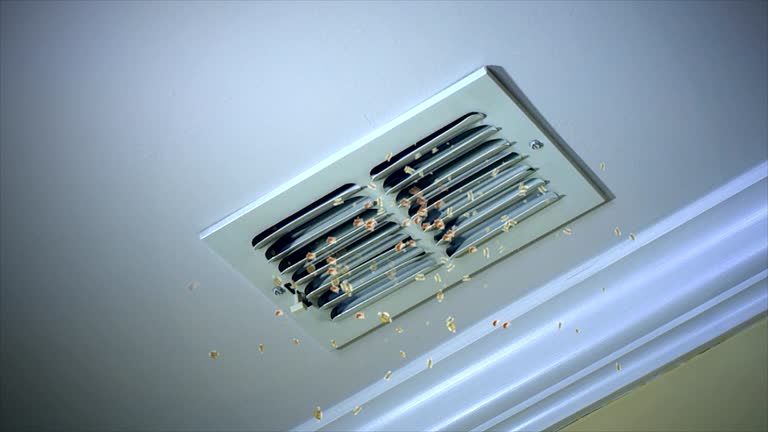 Professional Airduct Cleaning in ID