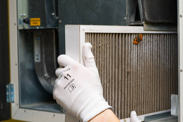 Best Affordable Air Duct Cleaning  in Wallace, ID